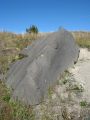 Day 4 - Hummocks - BFR beside trail